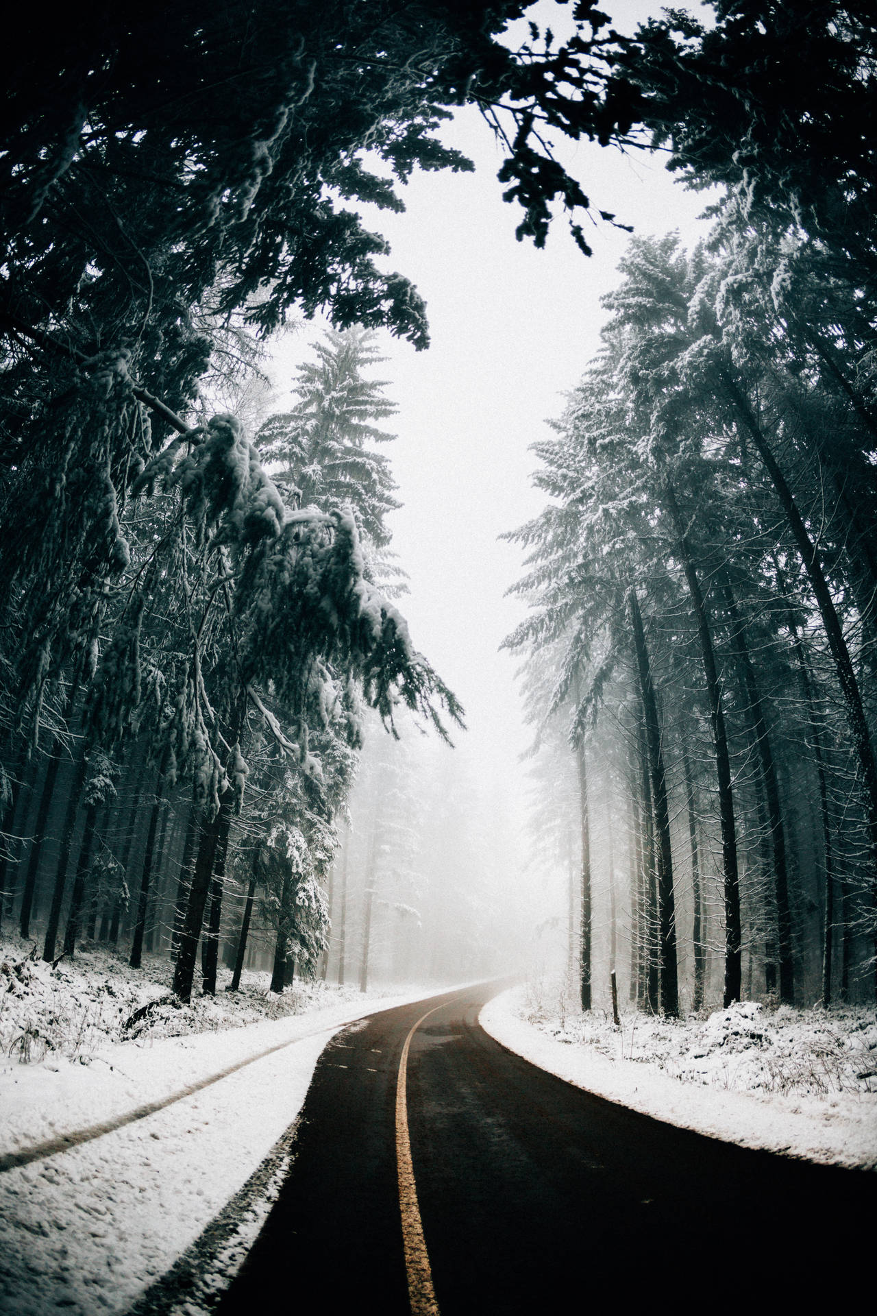 3697X5545 Winter Wallpaper and Background