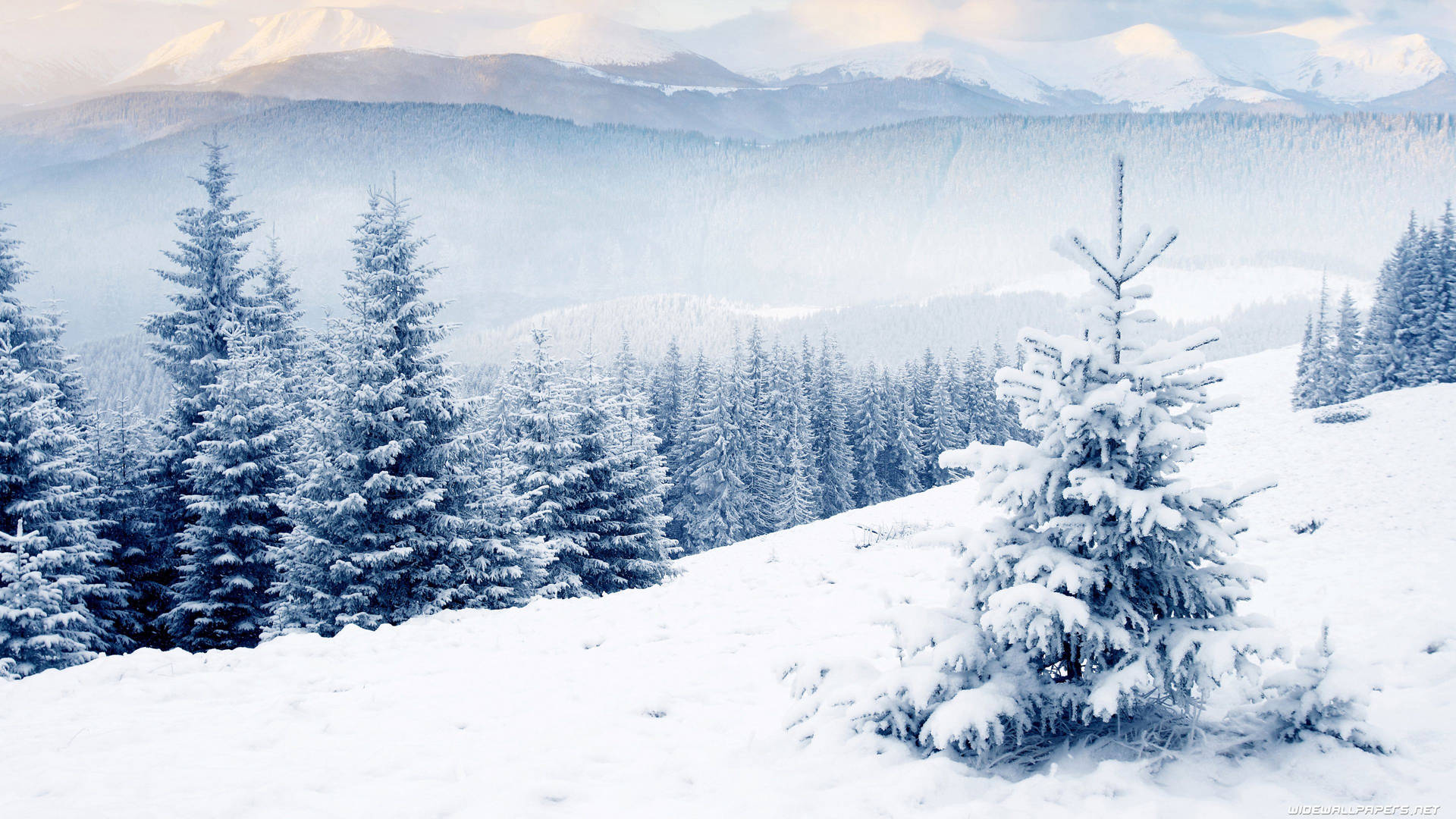 3840X2160 Winter Wallpaper and Background