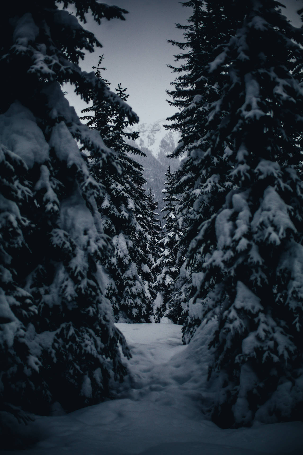 3840X5760 Winter Wallpaper and Background