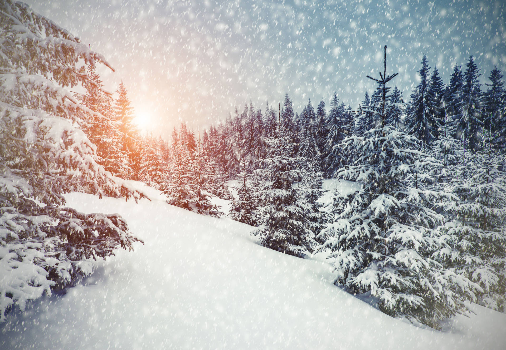 5120X3544 Winter Wallpaper and Background