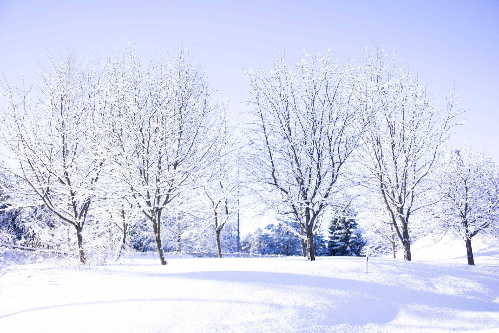 5184X3456 Winter Wallpaper and Background