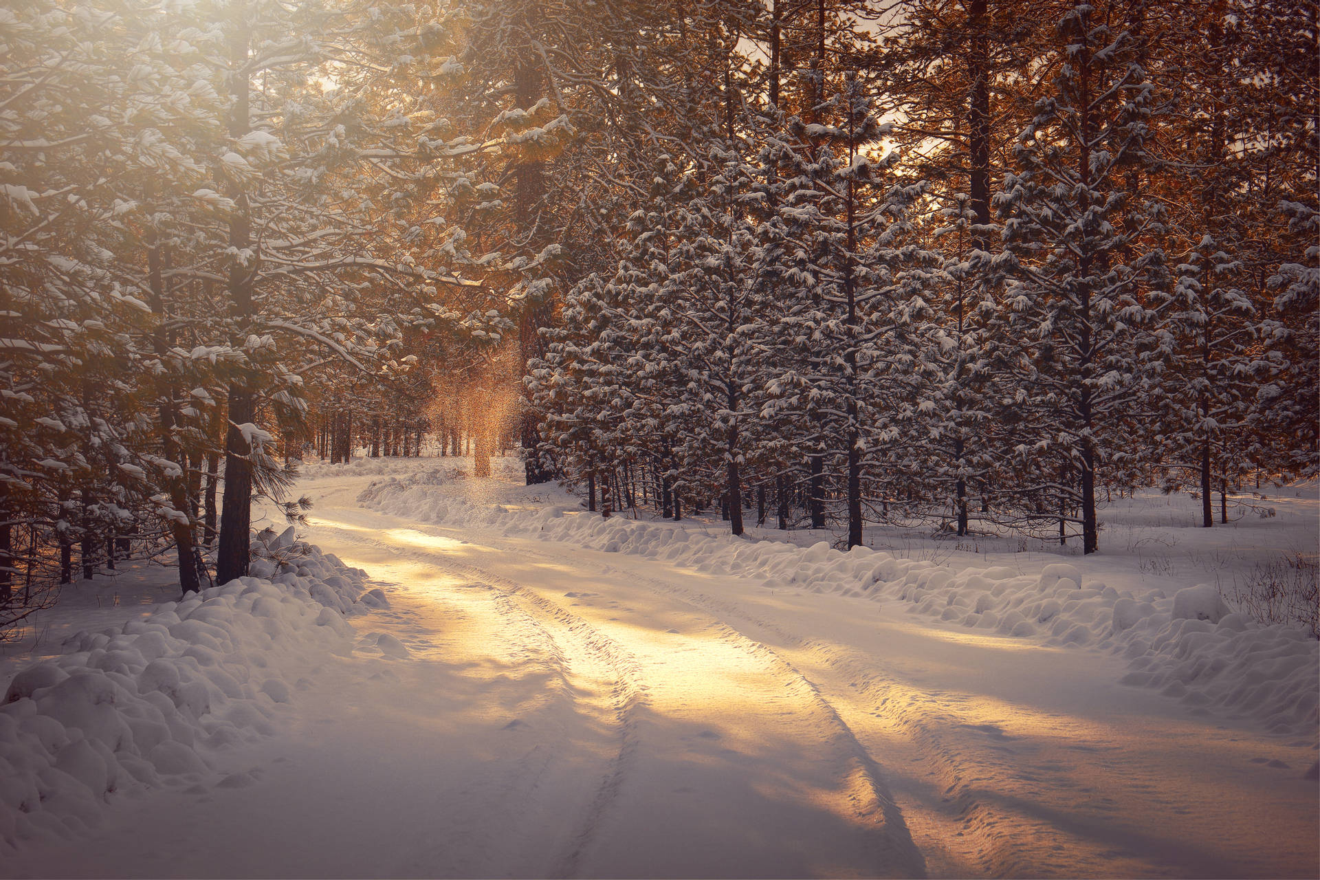 5472X3648 Winter Wallpaper and Background