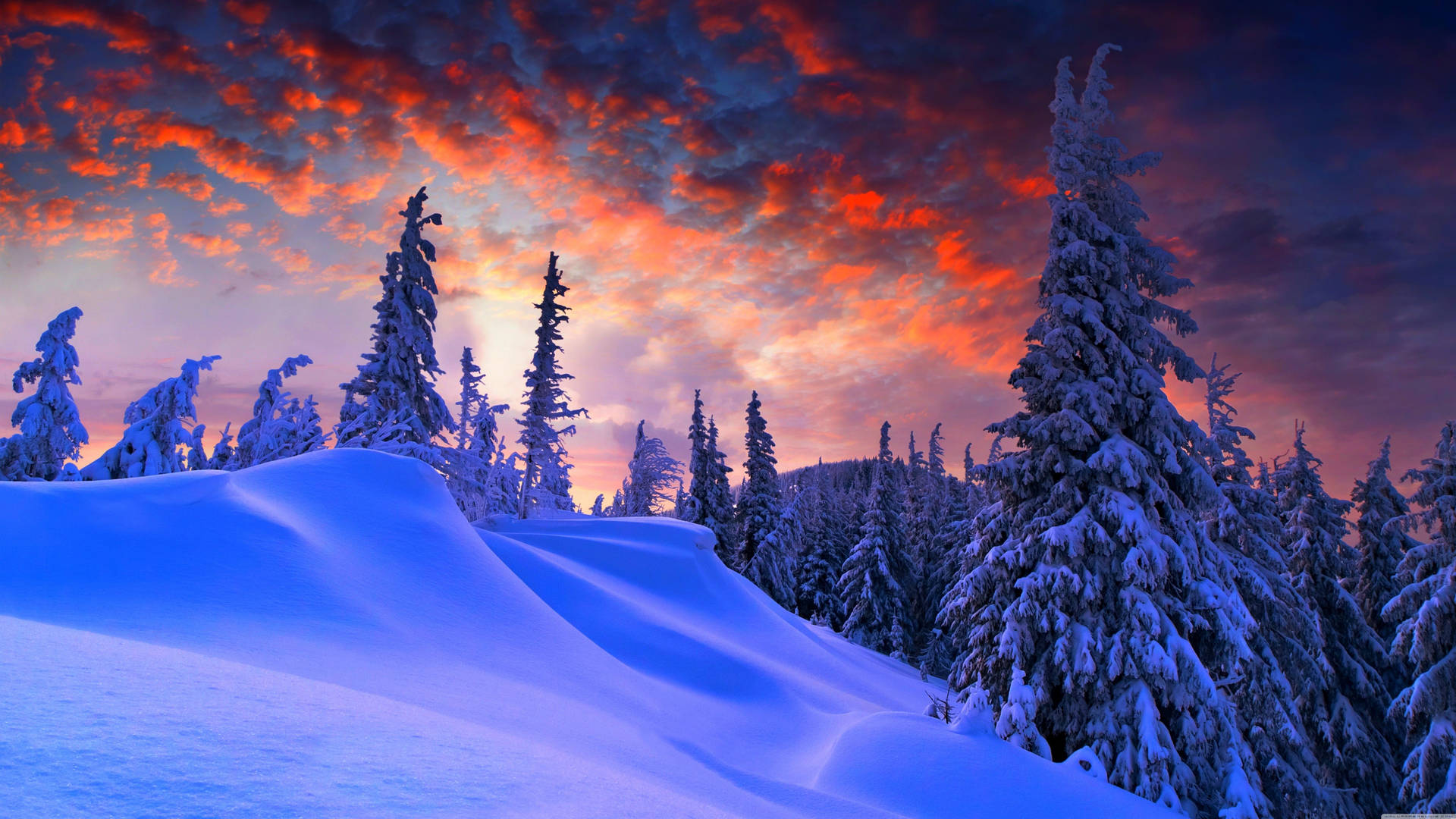 7680X4320 Winter Wallpaper and Background