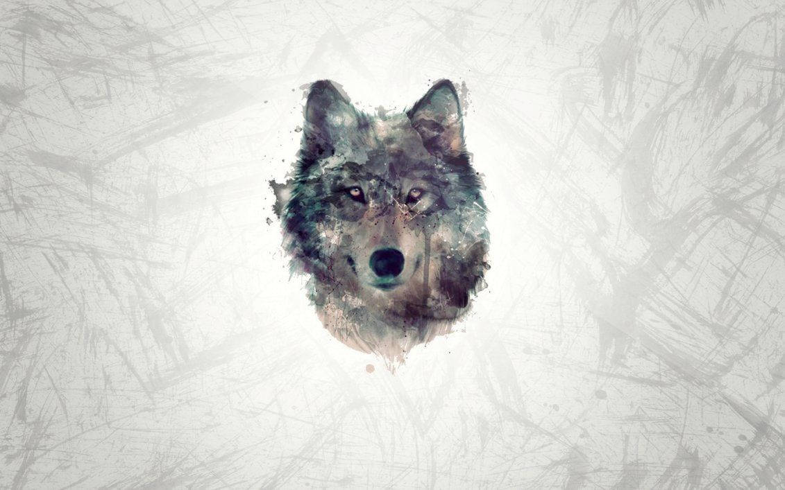 1131X707 Wolf Wallpaper and Background