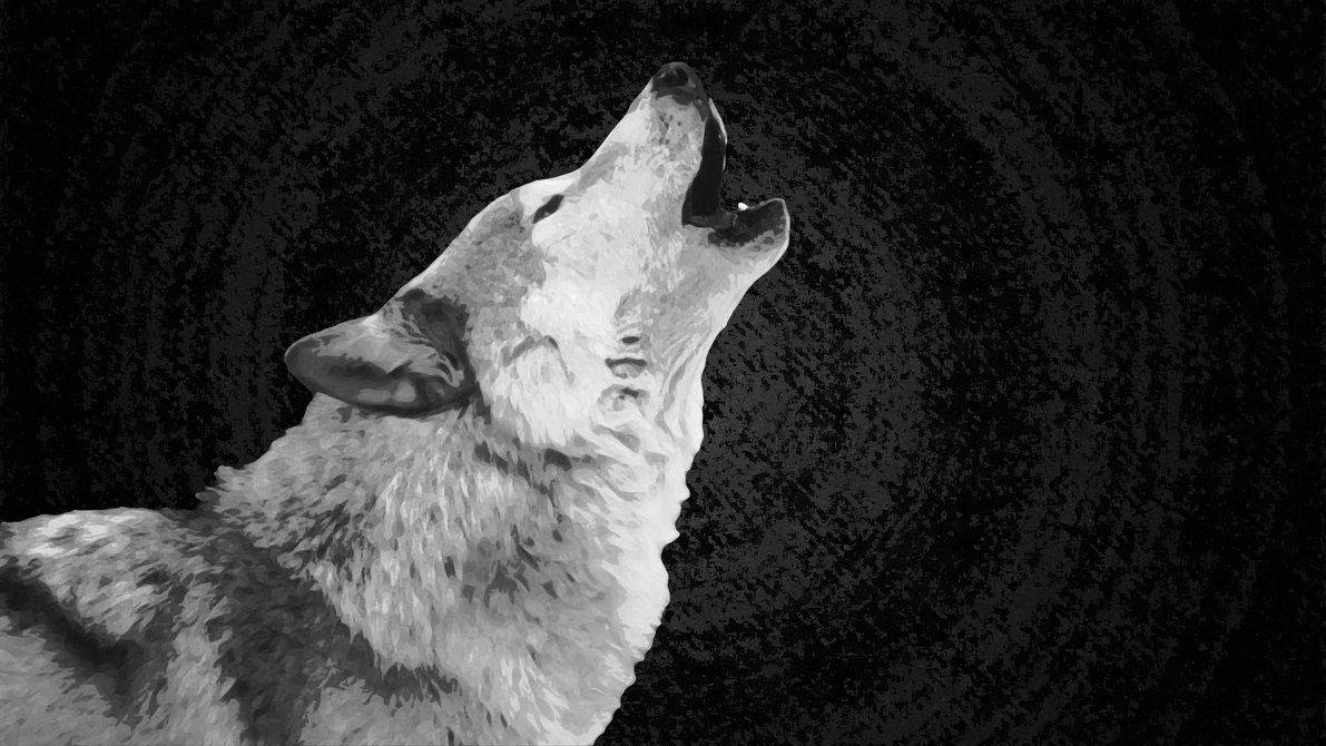 1191X670 Wolf Wallpaper and Background