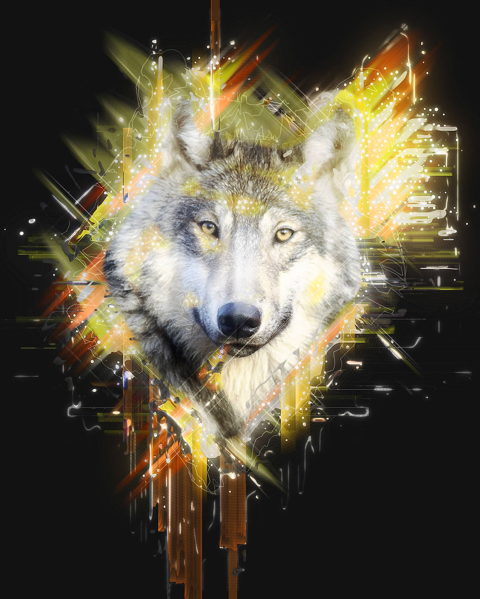 2403X3000 Wolf Wallpaper and Background