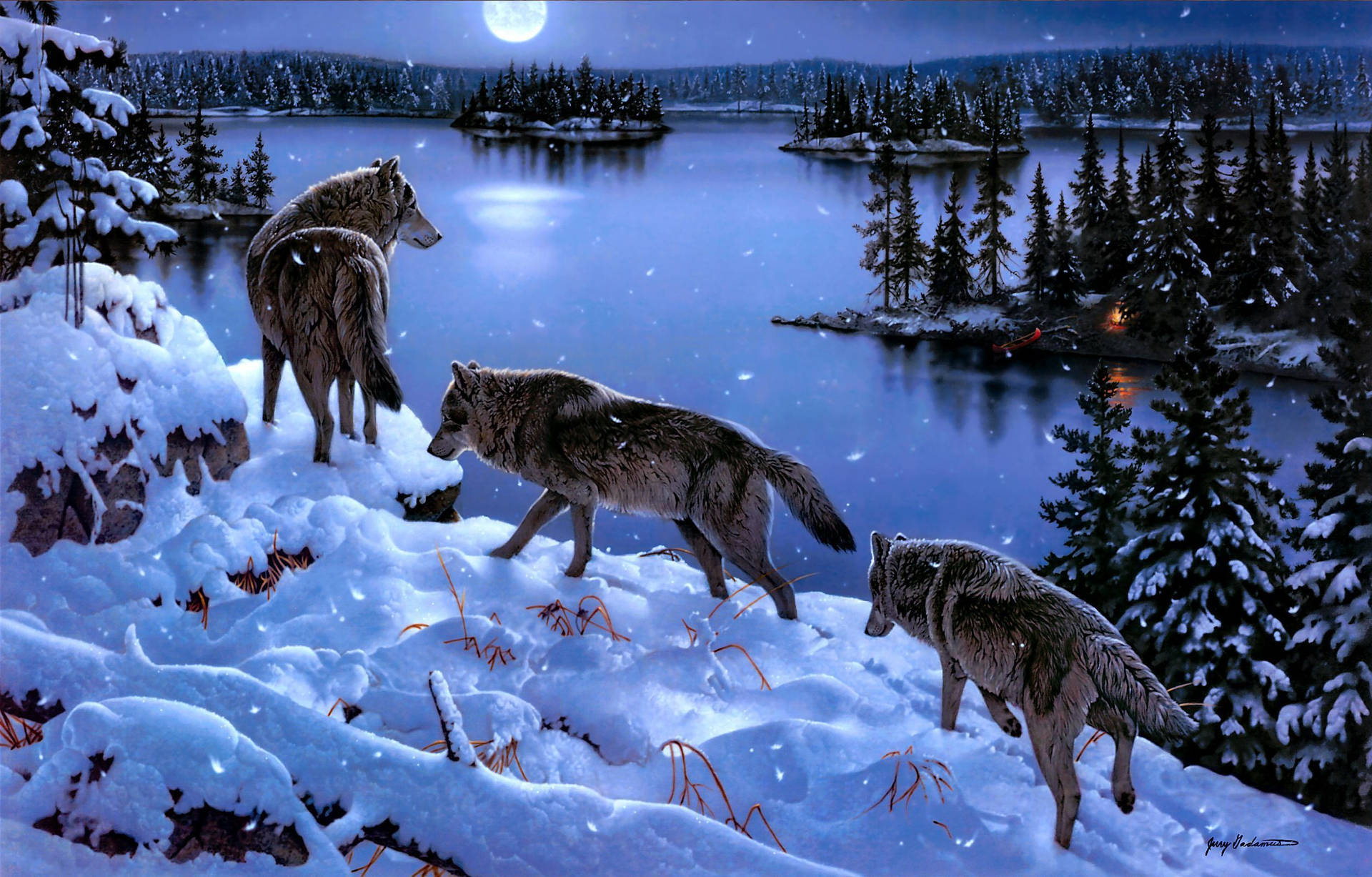 2496X1595 Wolf Wallpaper and Background