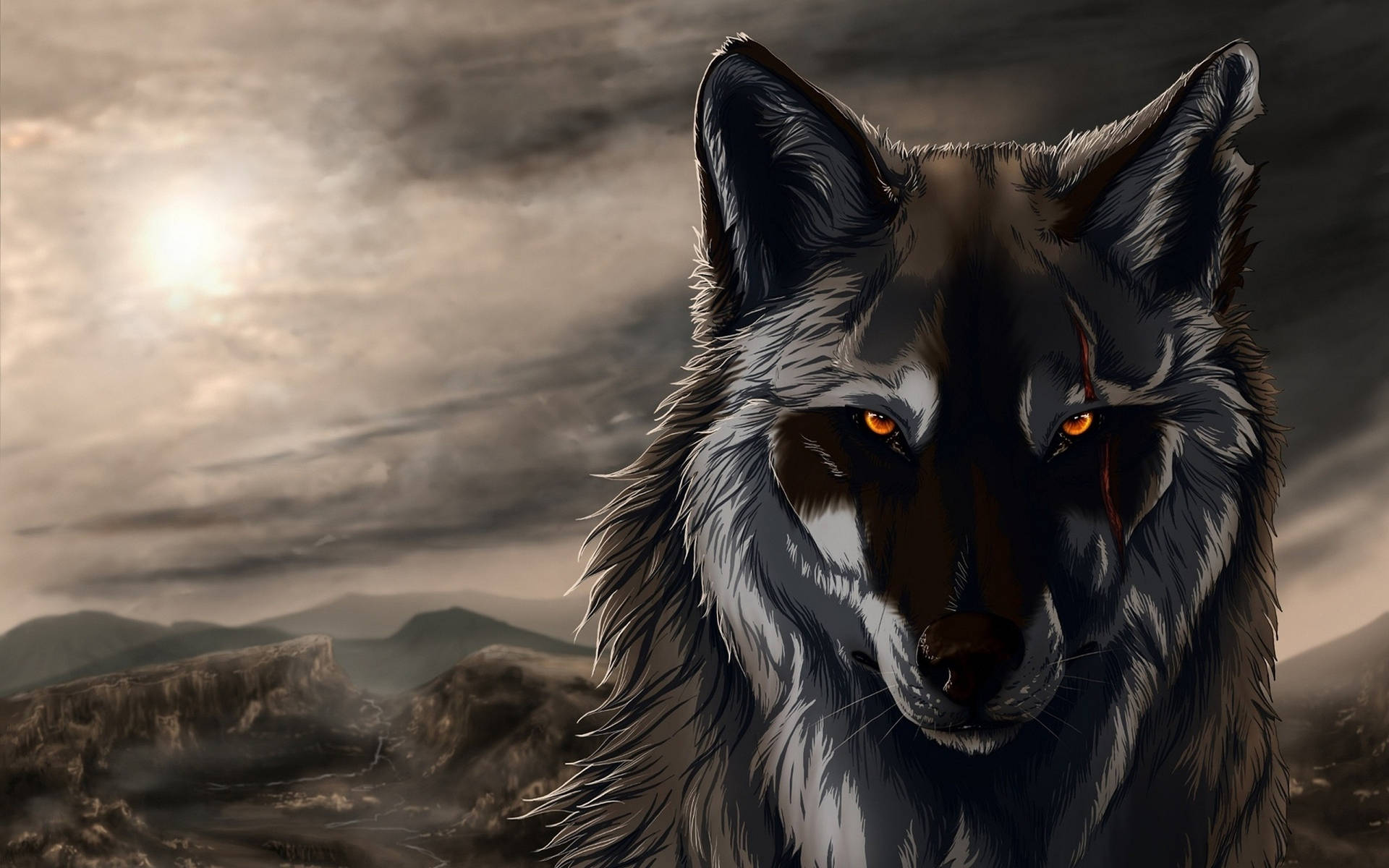 2560X1600 Wolf Wallpaper and Background