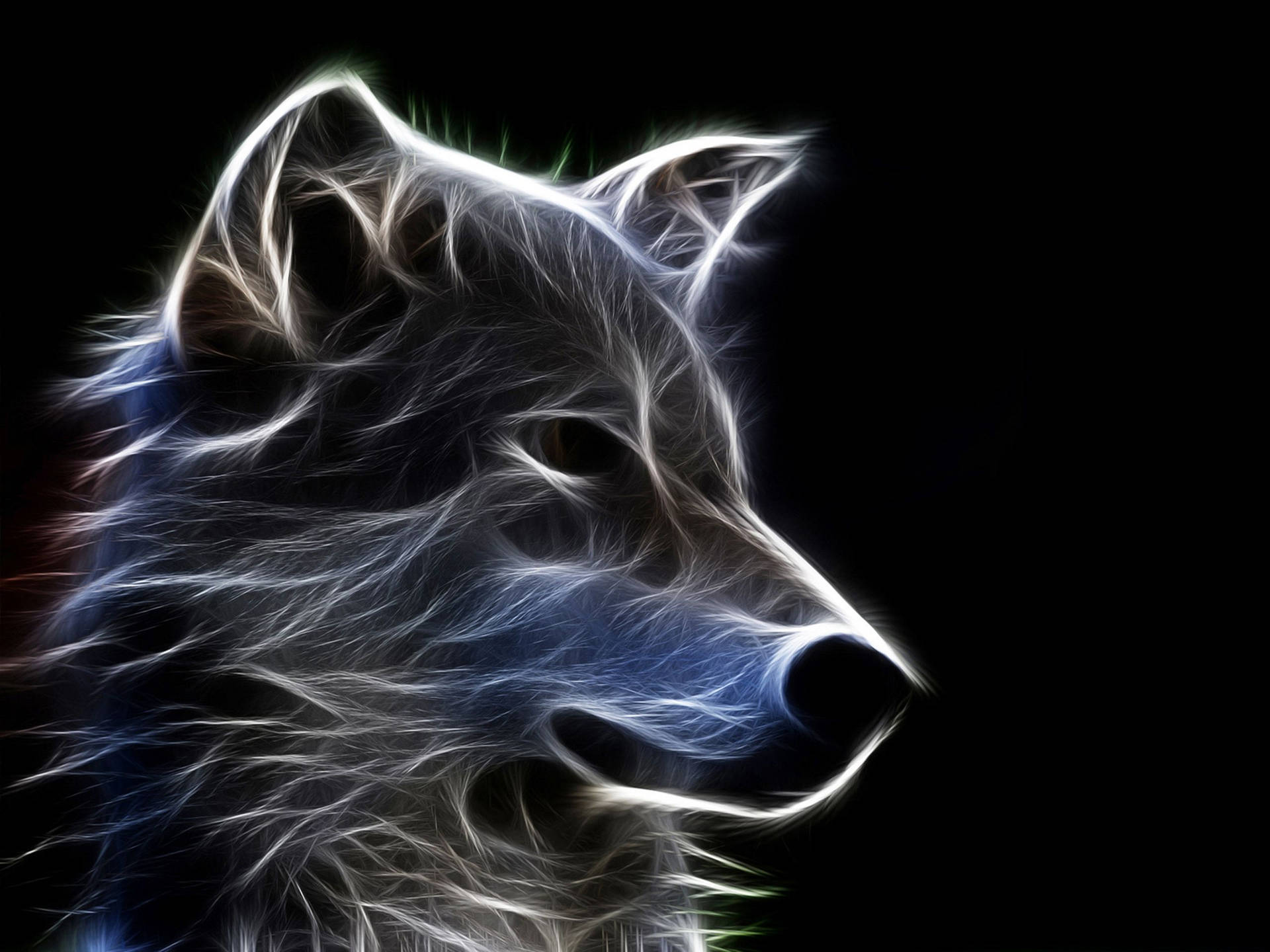2560X1920 Wolf Wallpaper and Background