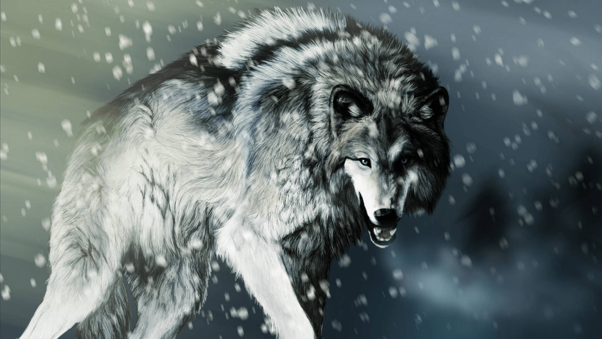 3840X2160 Wolf Wallpaper and Background