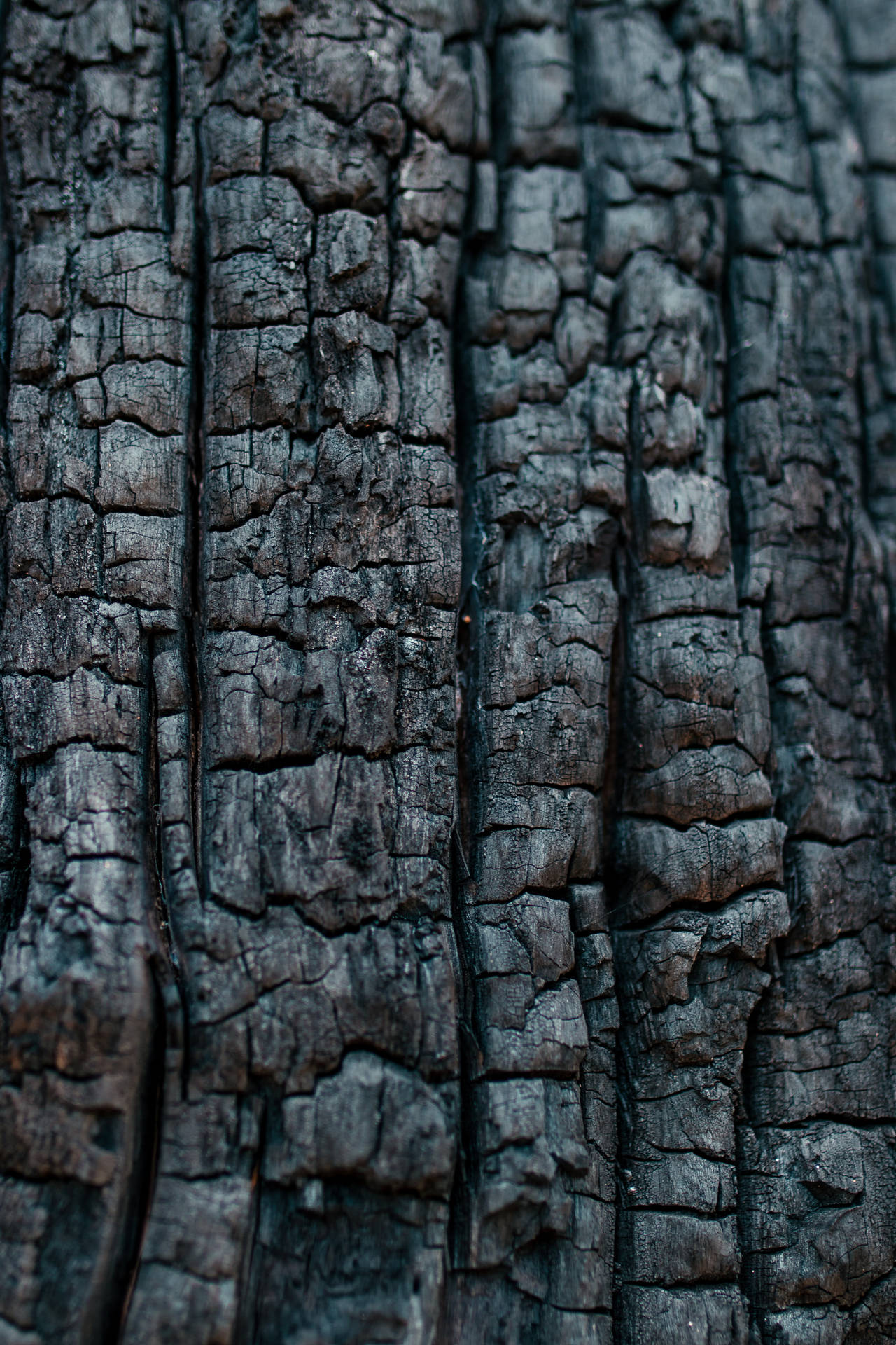 4000X6000 Wood Wallpaper and Background
