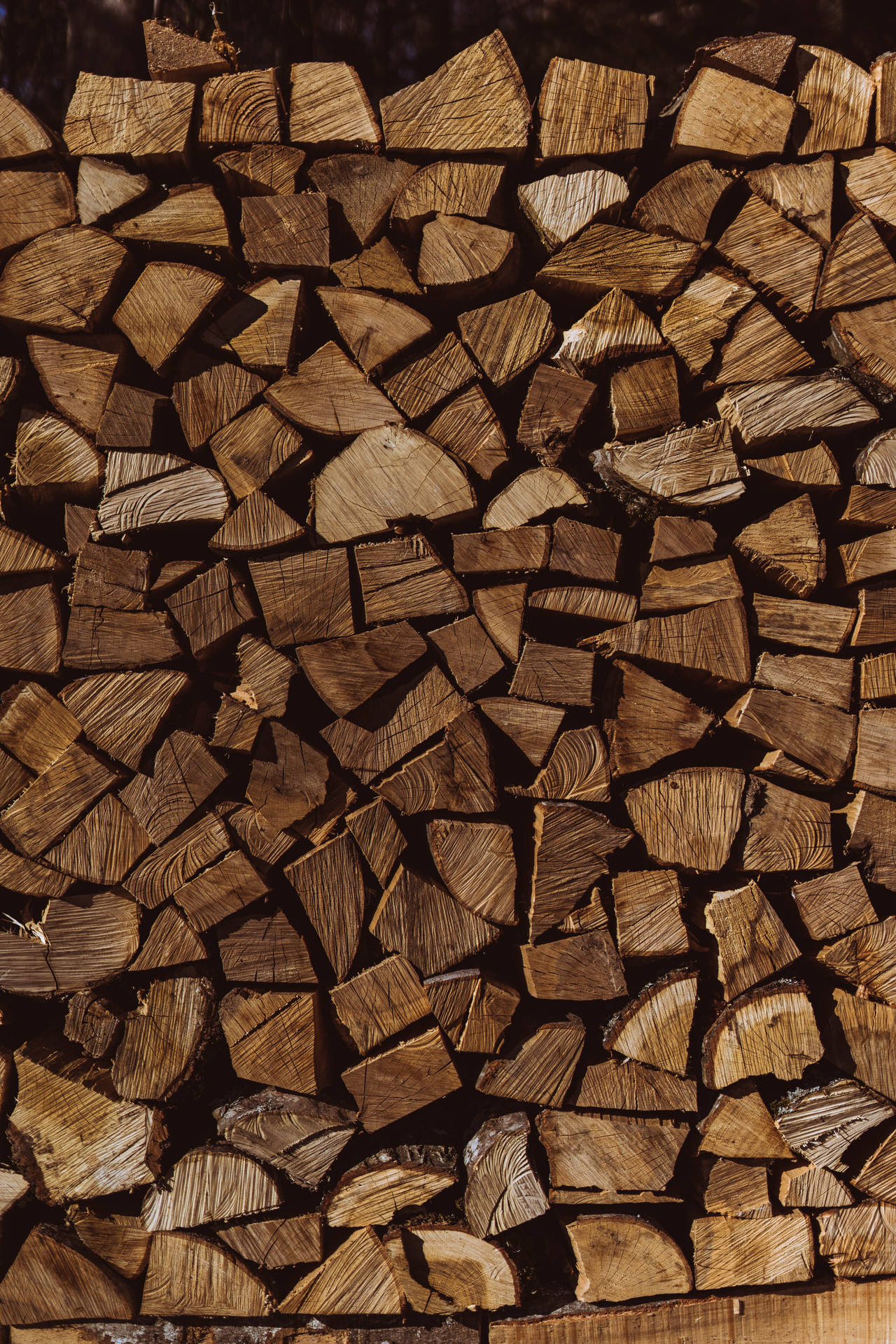 4000X6000 Wood Wallpaper and Background