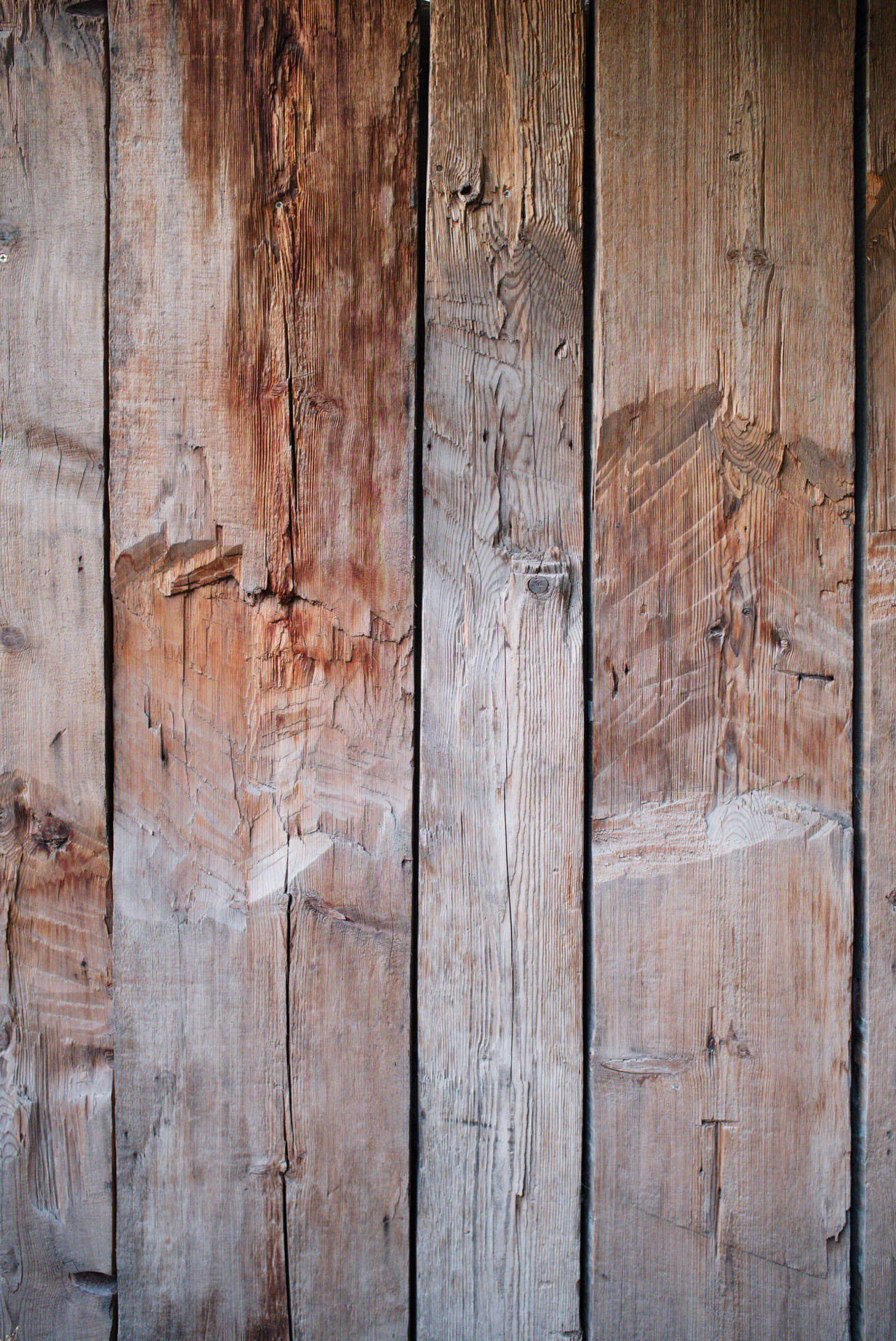 4011X6000 Wood Wallpaper and Background