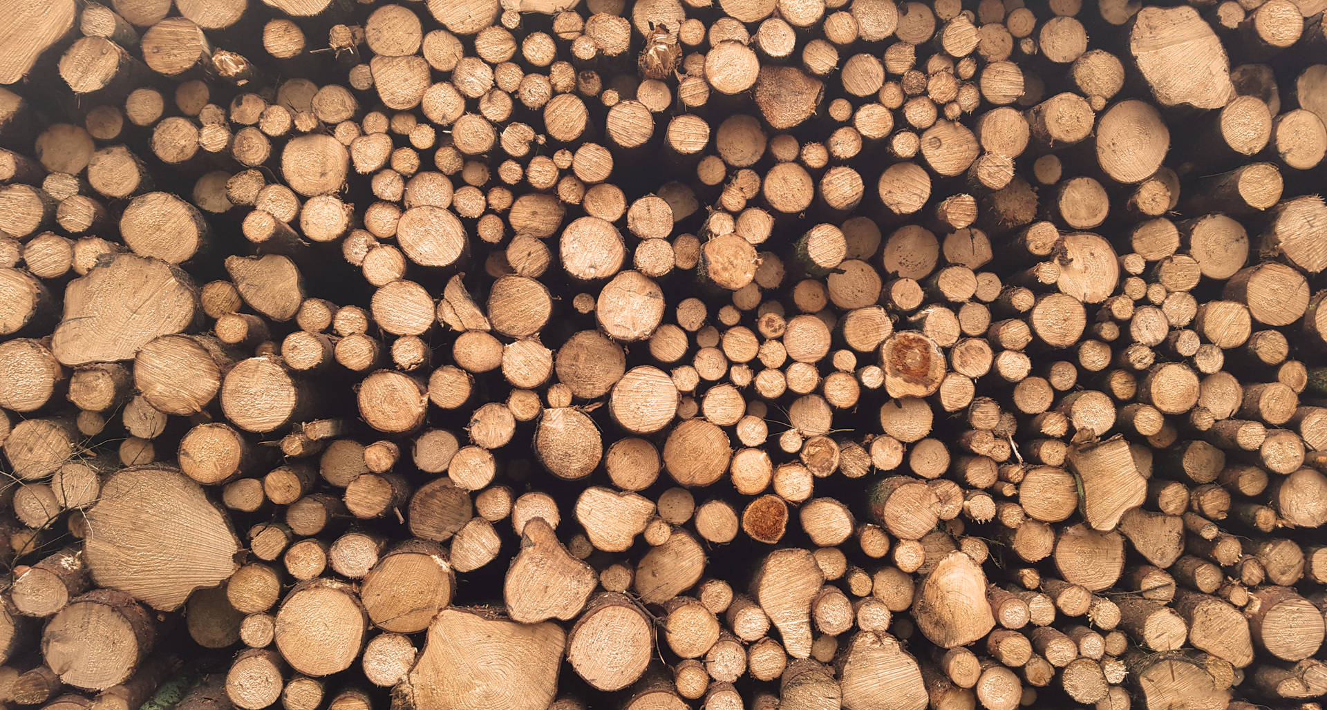 5097X2730 Wood Wallpaper and Background
