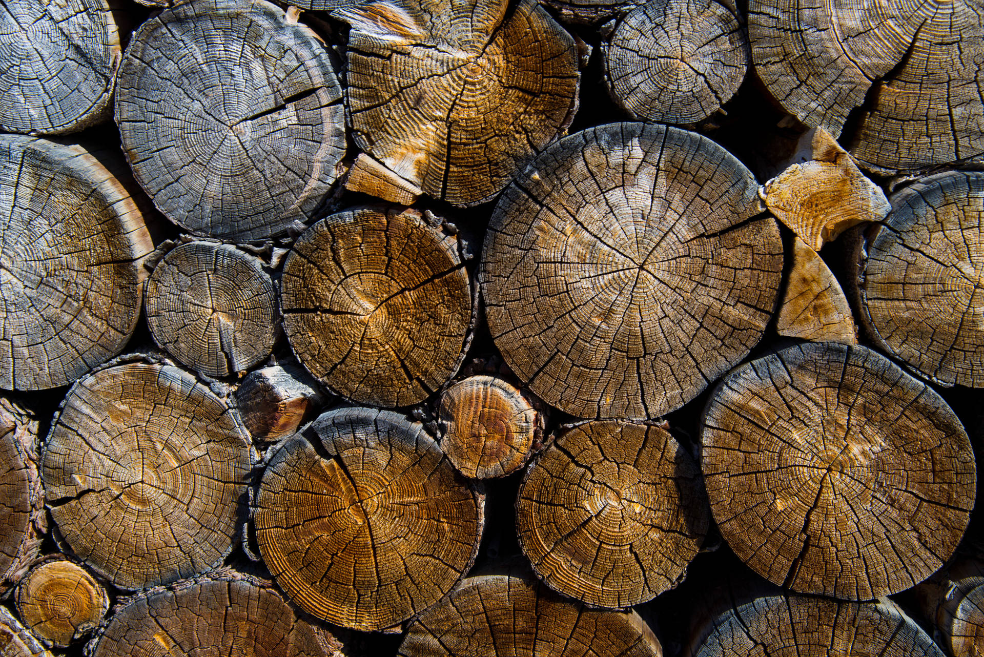 6016X4016 Wood Wallpaper and Background