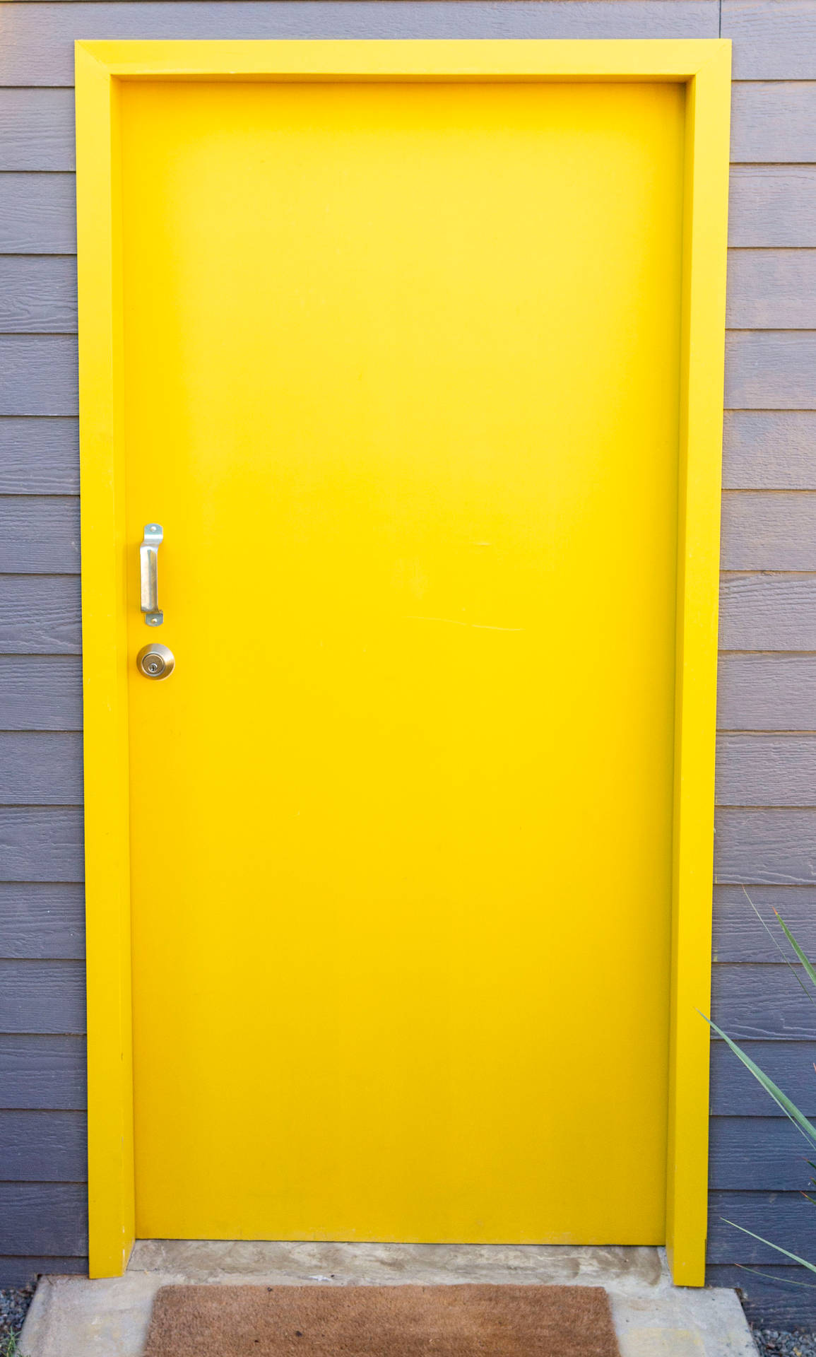 2601X4323 Yellow Wallpaper and Background