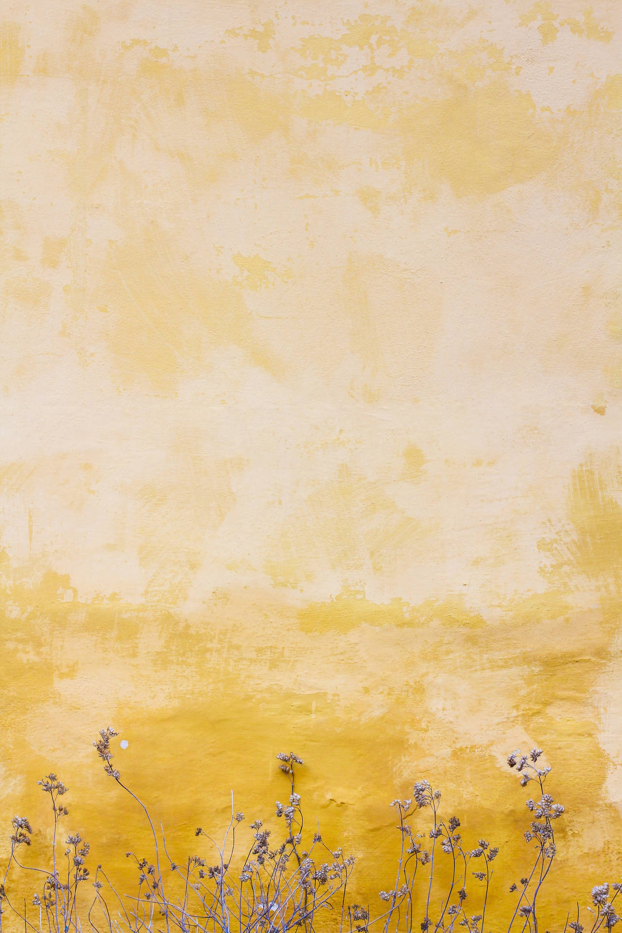 3456X5184 Yellow Wallpaper and Background
