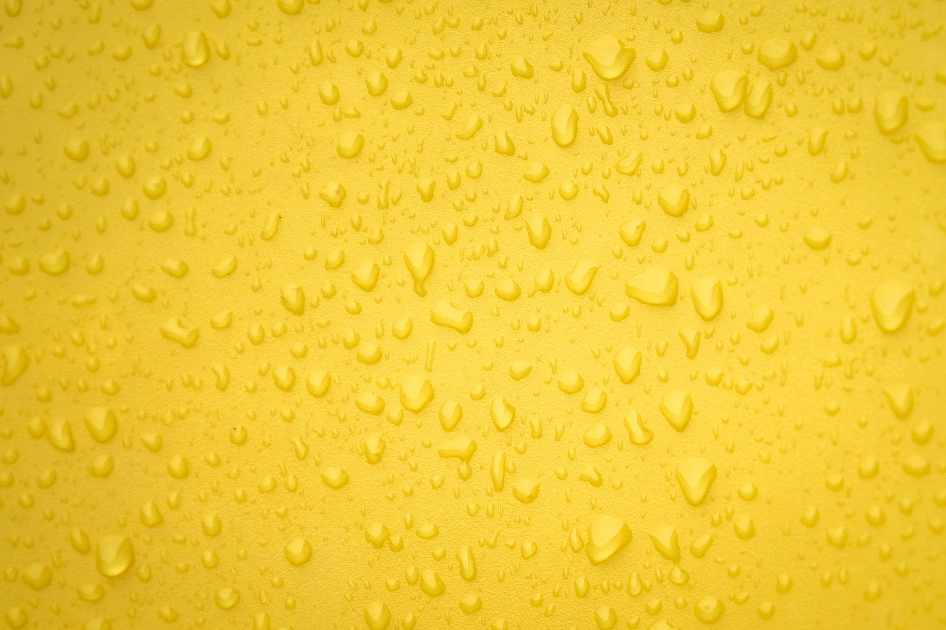 3934X2623 Yellow Wallpaper and Background