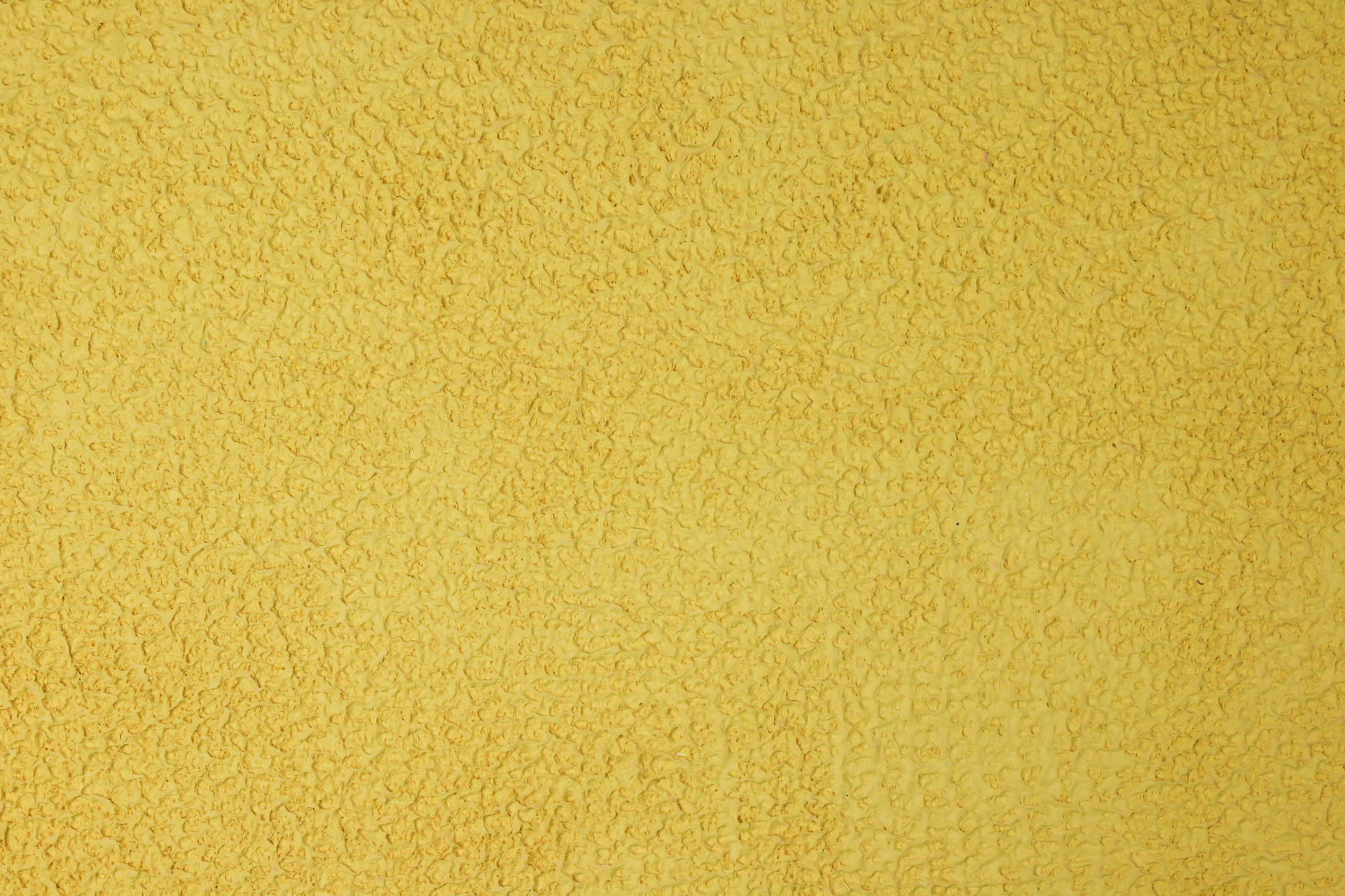 5472X3648 Yellow Wallpaper and Background