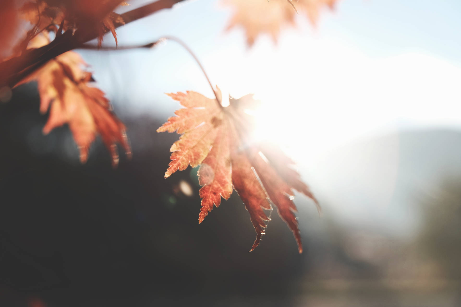 Aesthetic Fall 4719X3146 Wallpaper and Background Image