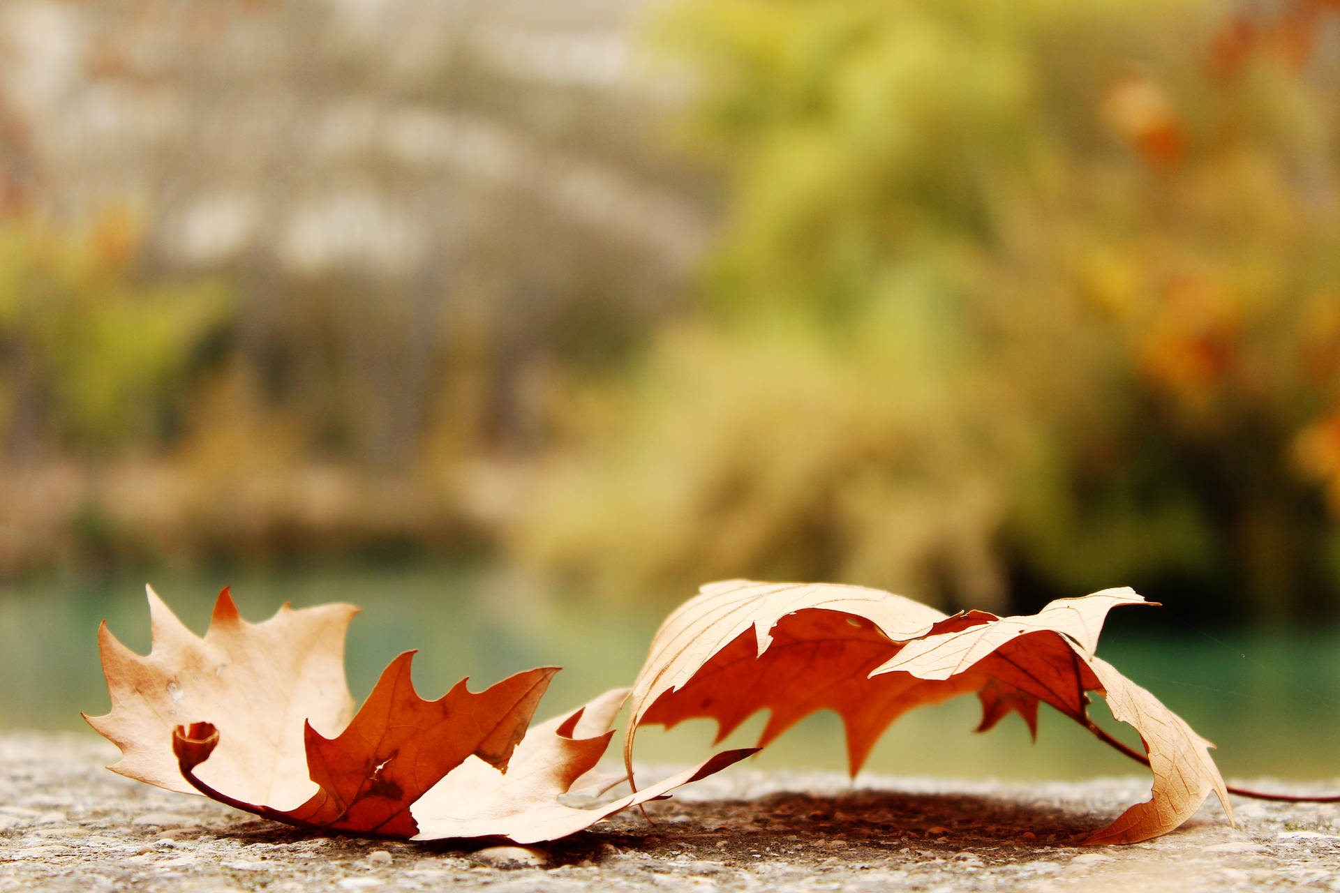 Aesthetic Fall 5184X3456 Wallpaper and Background Image