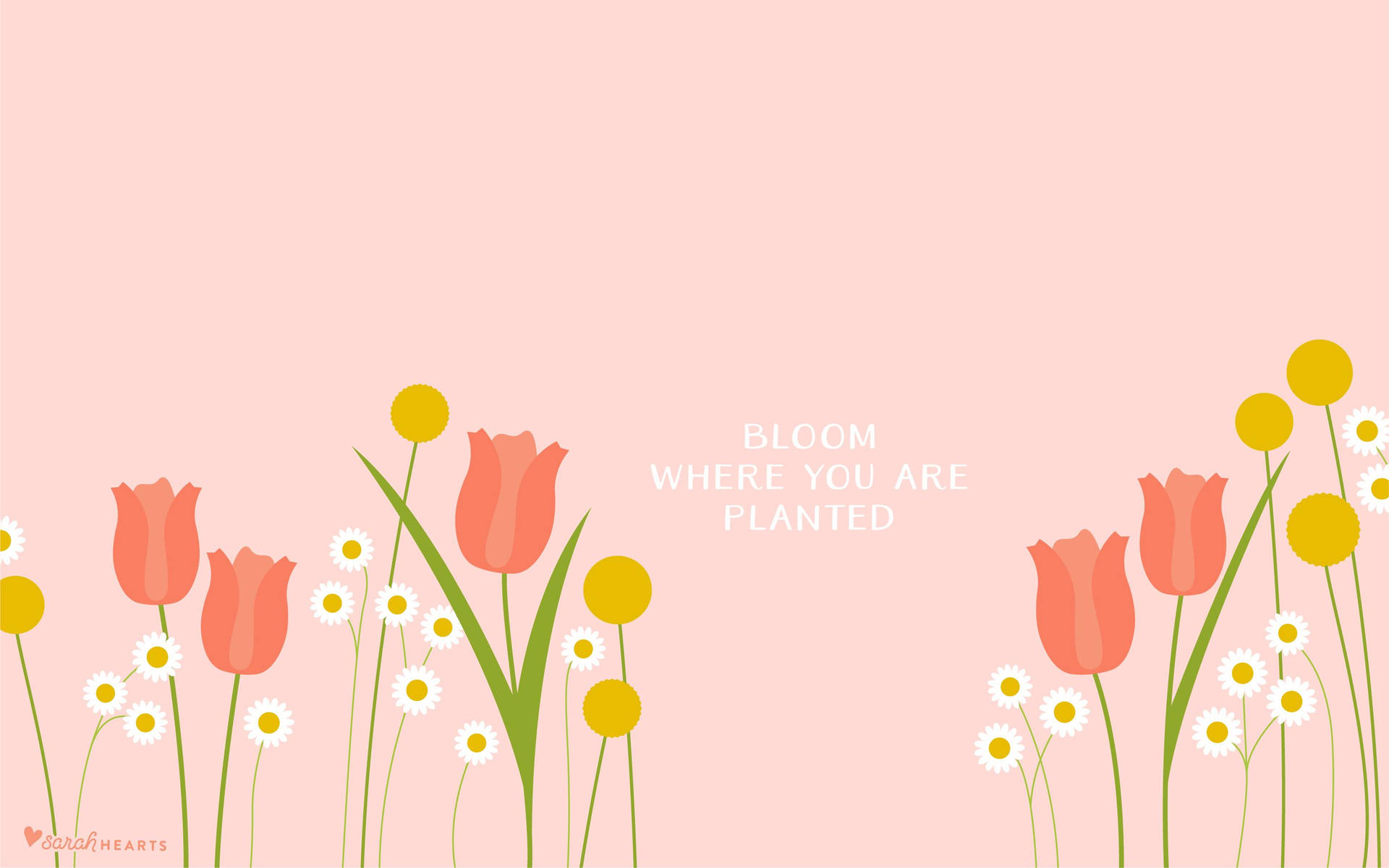 Aesthetic Quotes 3001X1876 Wallpaper and Background Image