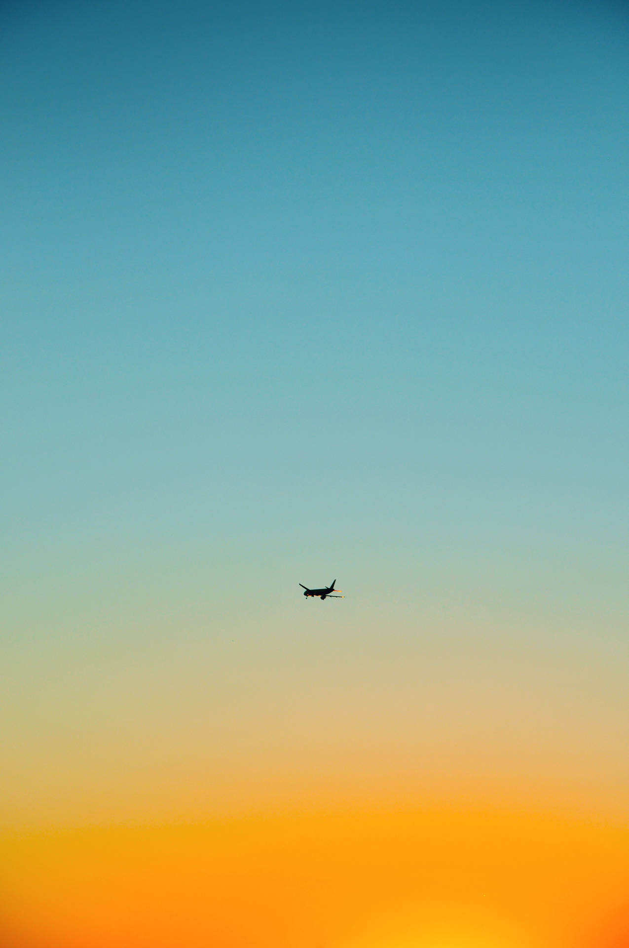 2848X4288 Airplane Wallpaper and Background
