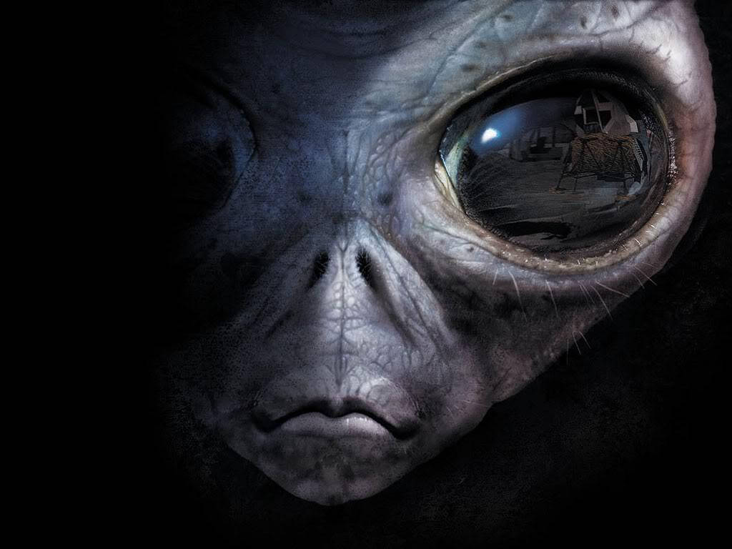 1024X768 Alien Wallpaper and Background