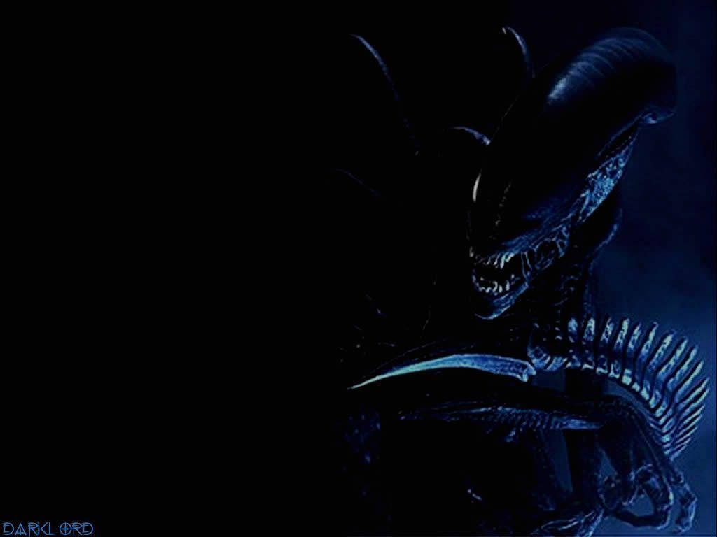 1024X768 Alien Wallpaper and Background
