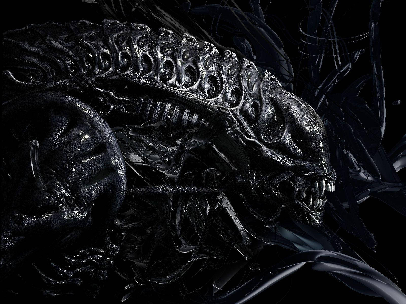1600X1200 Alien Wallpaper and Background