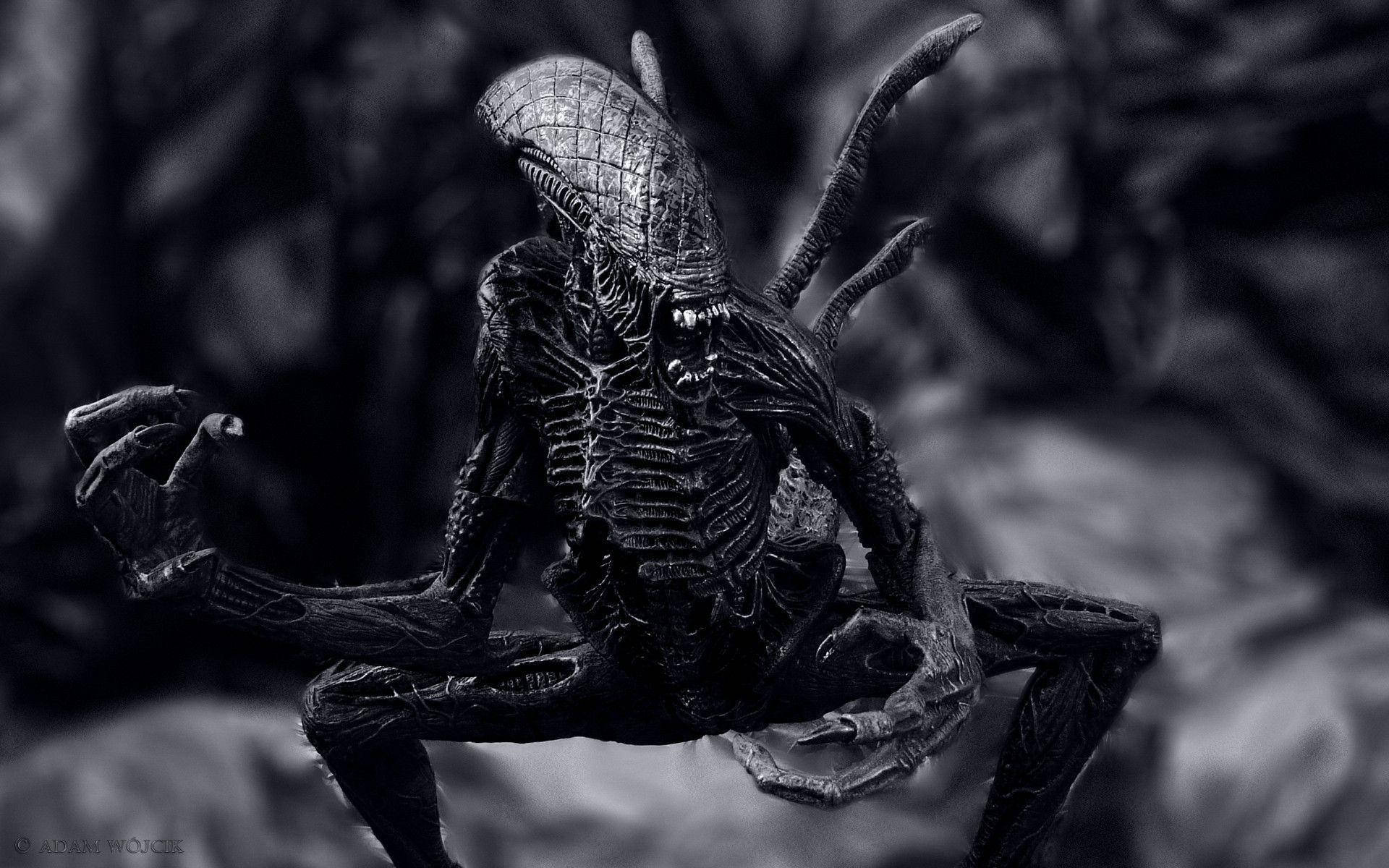Alien 1920X1200 Wallpaper and Background Image