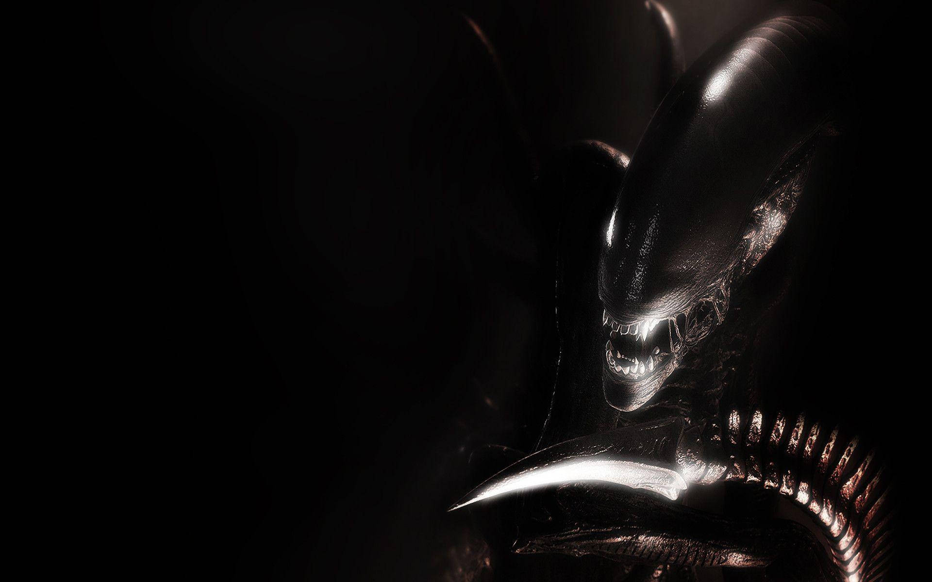1920X1200 Alien Wallpaper and Background