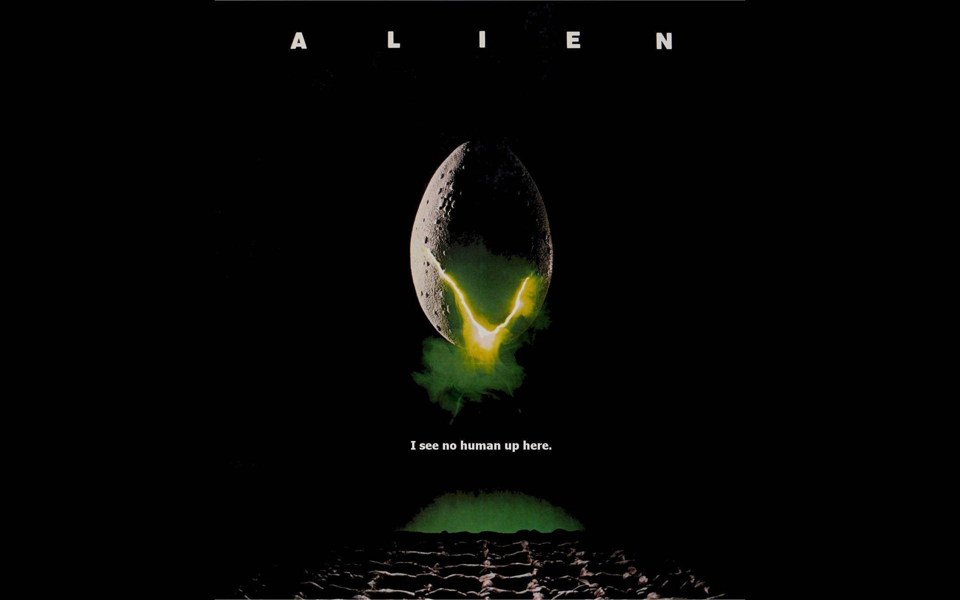 Alien 2560X1600 Wallpaper and Background Image