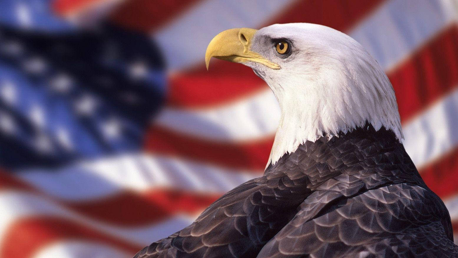 American Flag 1555X875 Wallpaper and Background Image