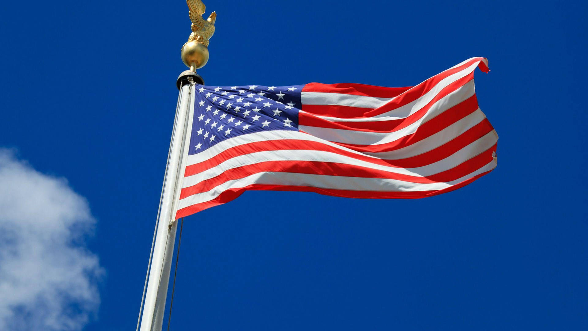 American Flag 2560X1440 Wallpaper and Background Image