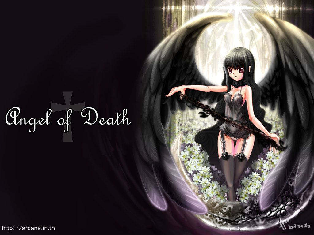 1024X768 Angels Of Death Wallpaper and Background