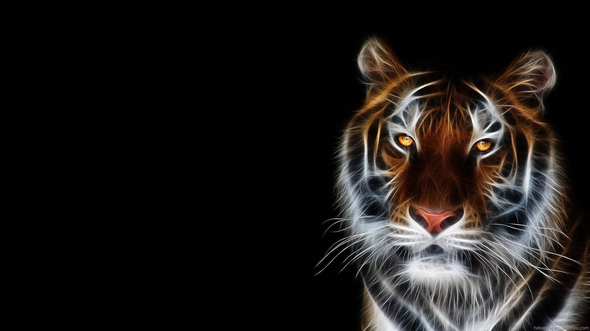 Animal 1920X1080 Wallpaper and Background Image