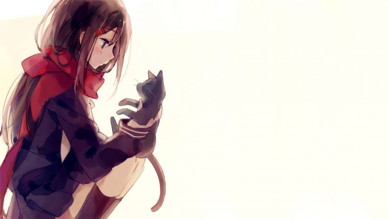 1244X700 Anime Cat Wallpaper and Background