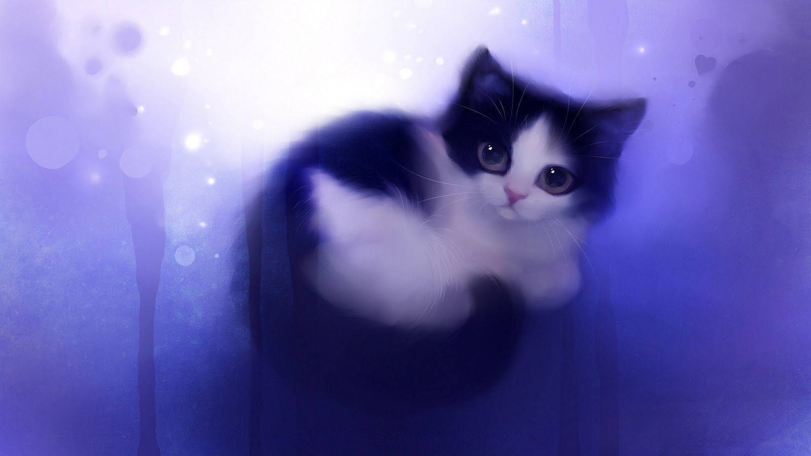 1600X900 Anime Cat Wallpaper and Background