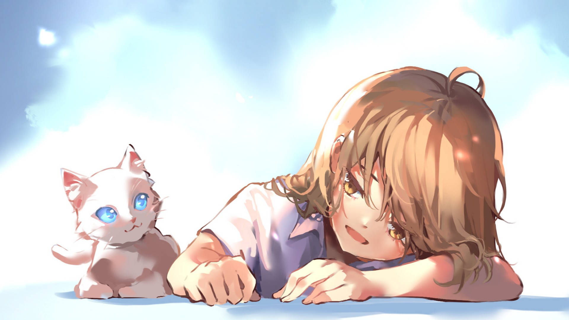 Anime Cat 1920X1080 Wallpaper and Background Image