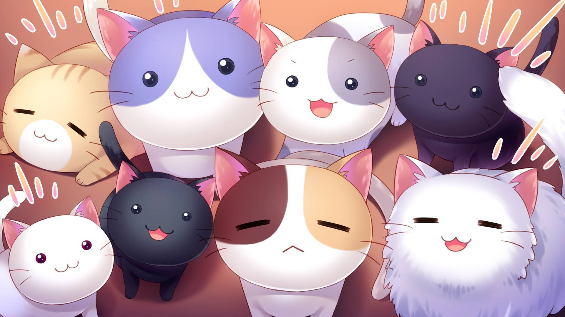 2048X1152 Anime Cat Wallpaper and Background