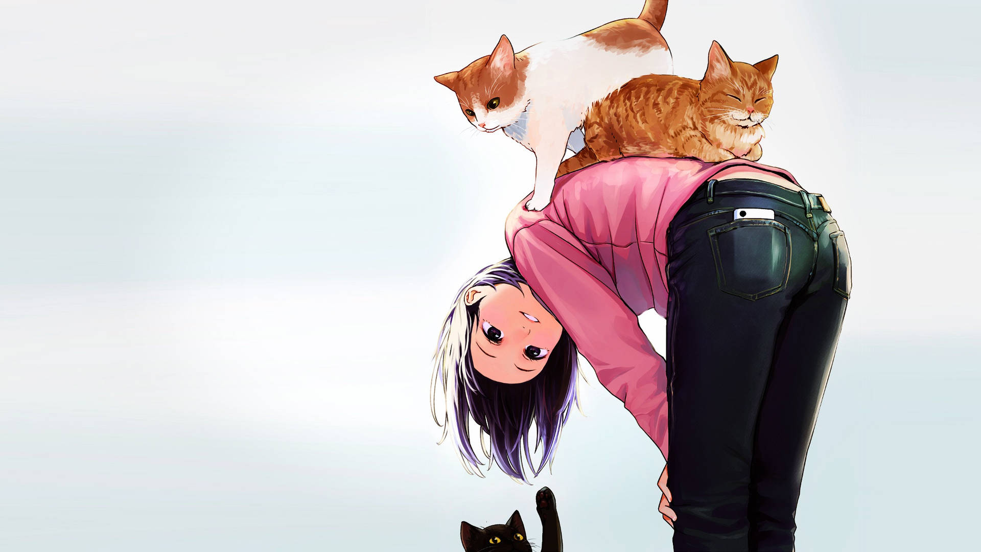 2560X1440 Anime Cat Wallpaper and Background