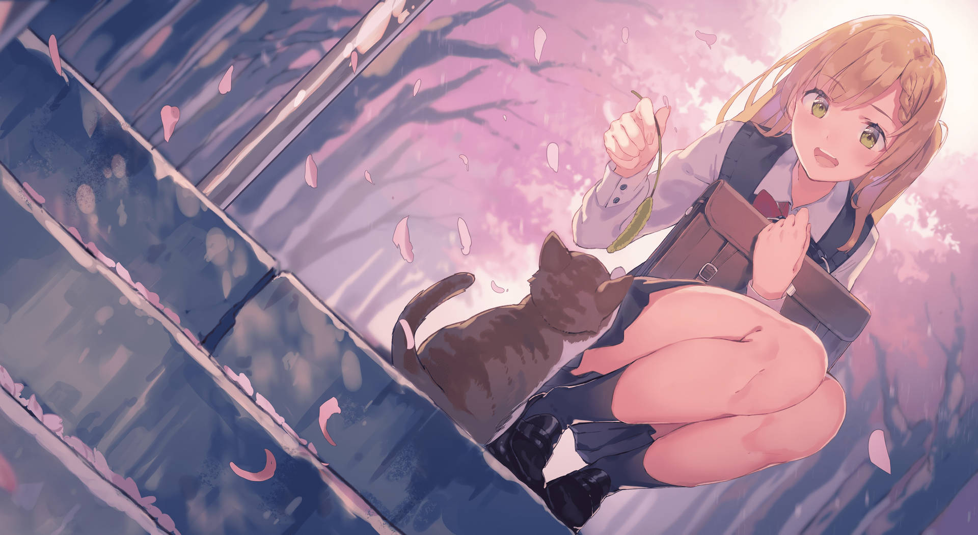 Anime Cat 2880X1576 Wallpaper and Background Image