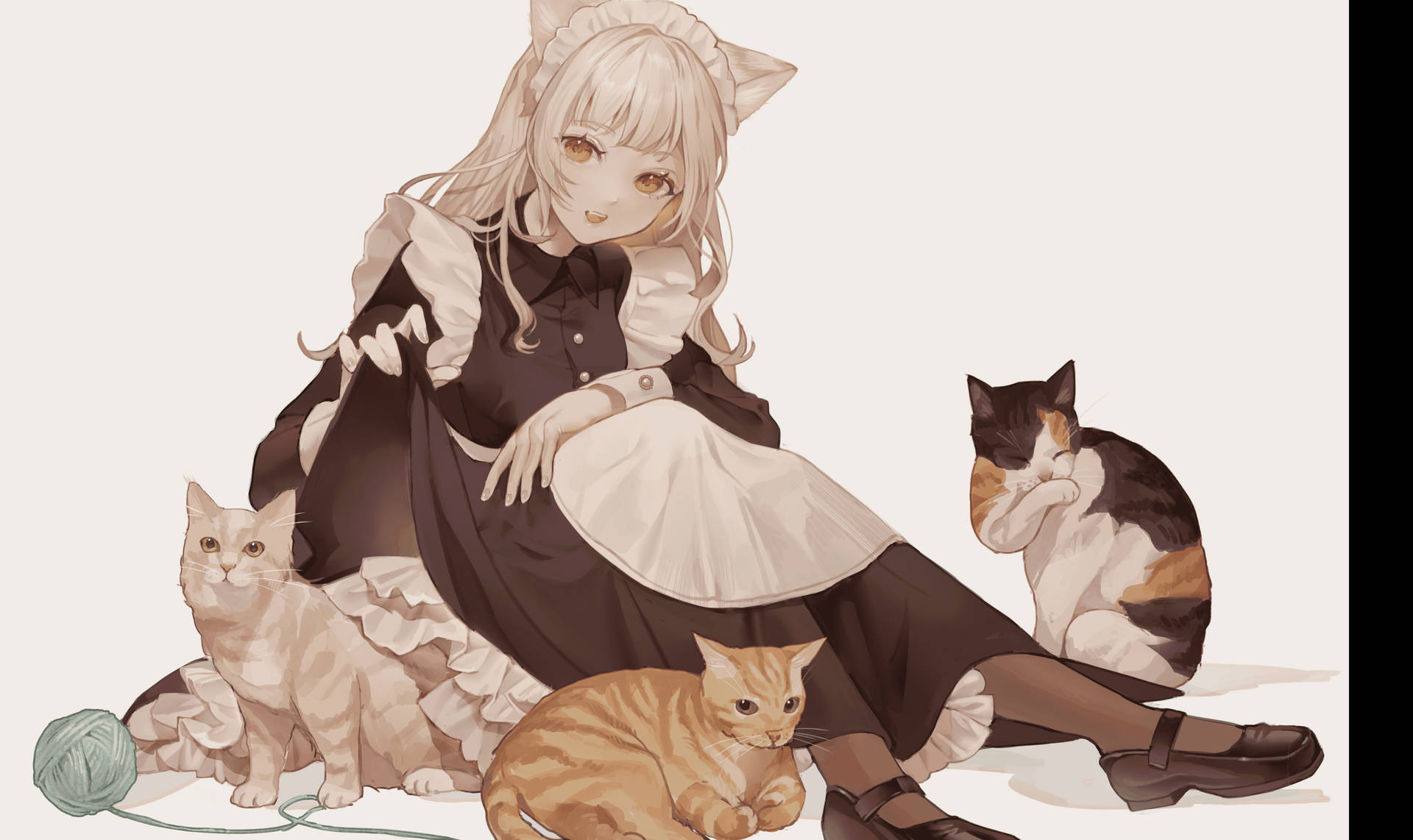 Anime Cat 3400X2022 Wallpaper and Background Image