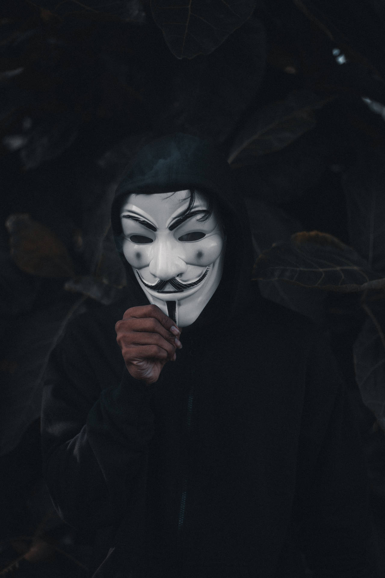 Anonymous 4160X6240 Wallpaper and Background Image