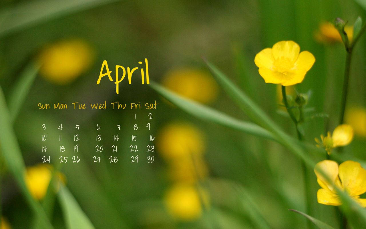 April 1280X800 Wallpaper and Background Image