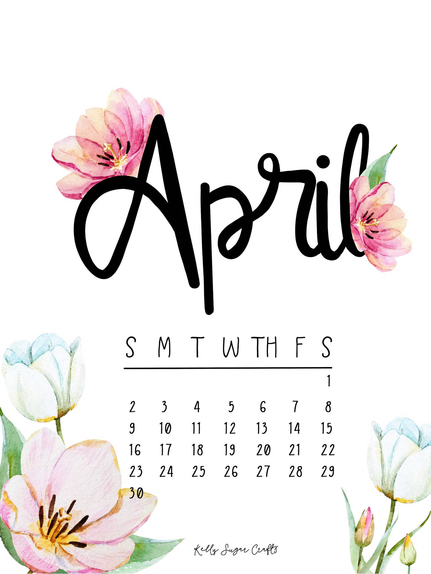 April 1504X2000 Wallpaper and Background Image