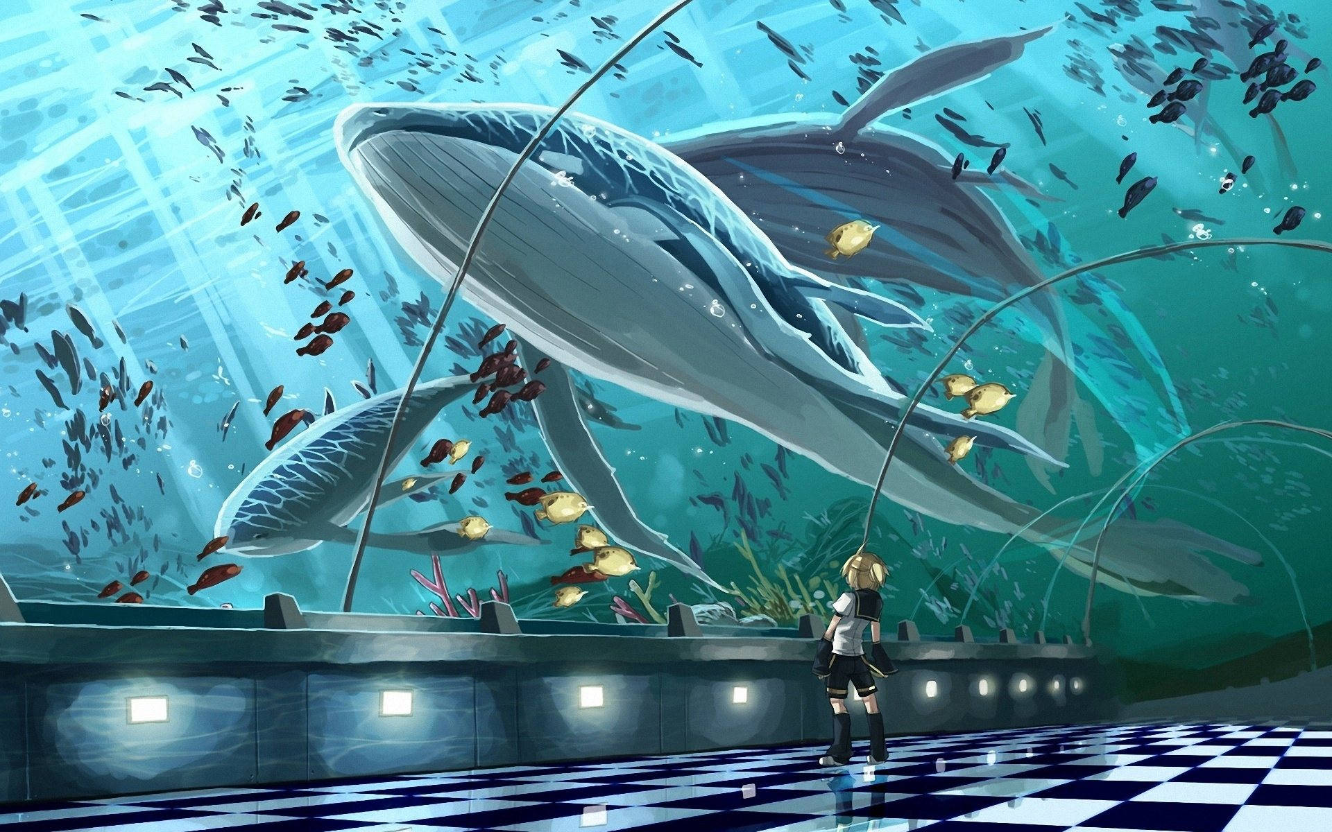 Aquarium 1920X1200 Wallpaper and Background Image