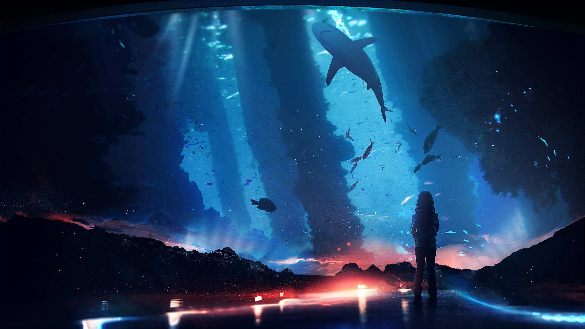 Aquarium 2560X1440 Wallpaper and Background Image