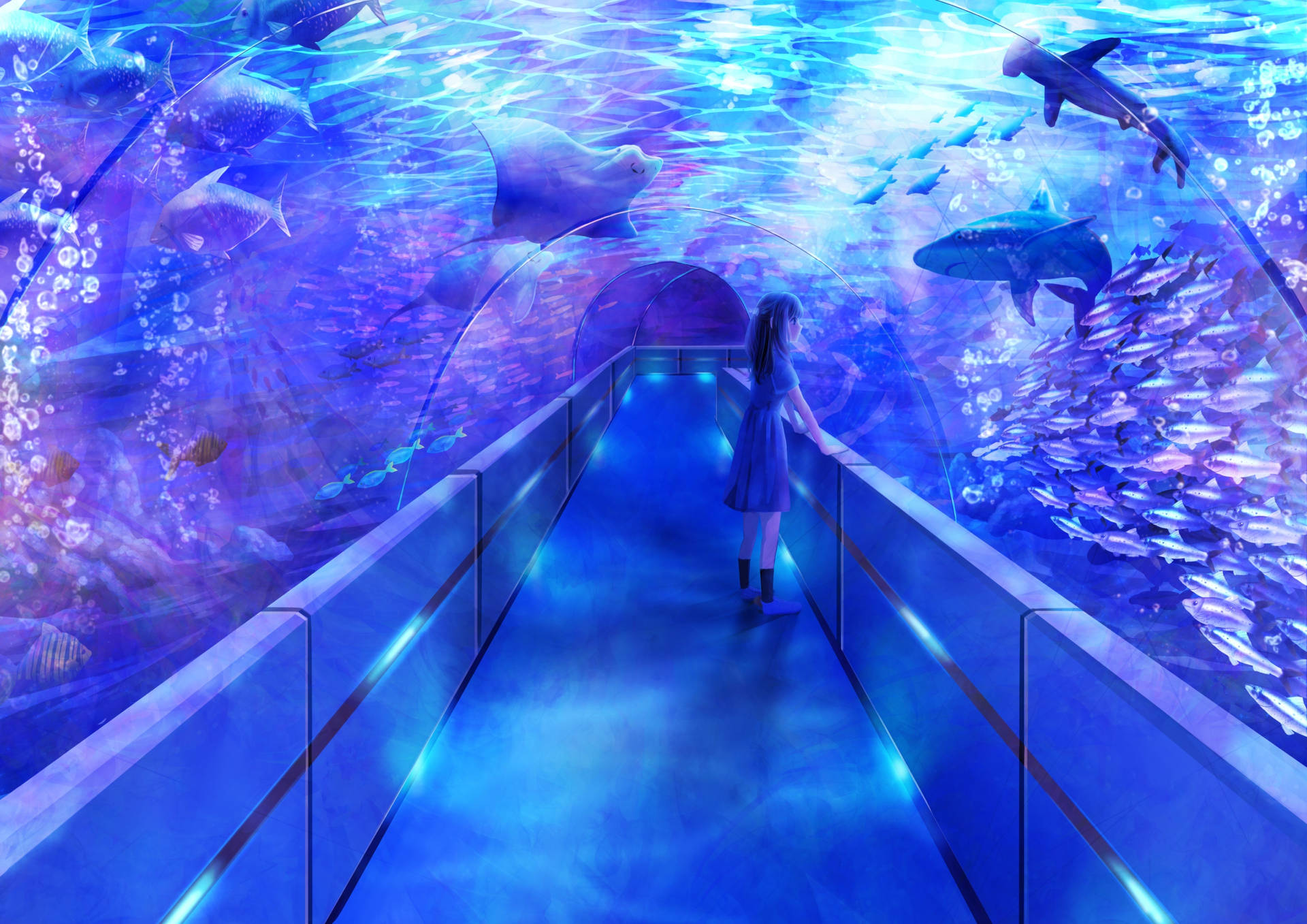 4000X2828 Aquarium Wallpaper and Background